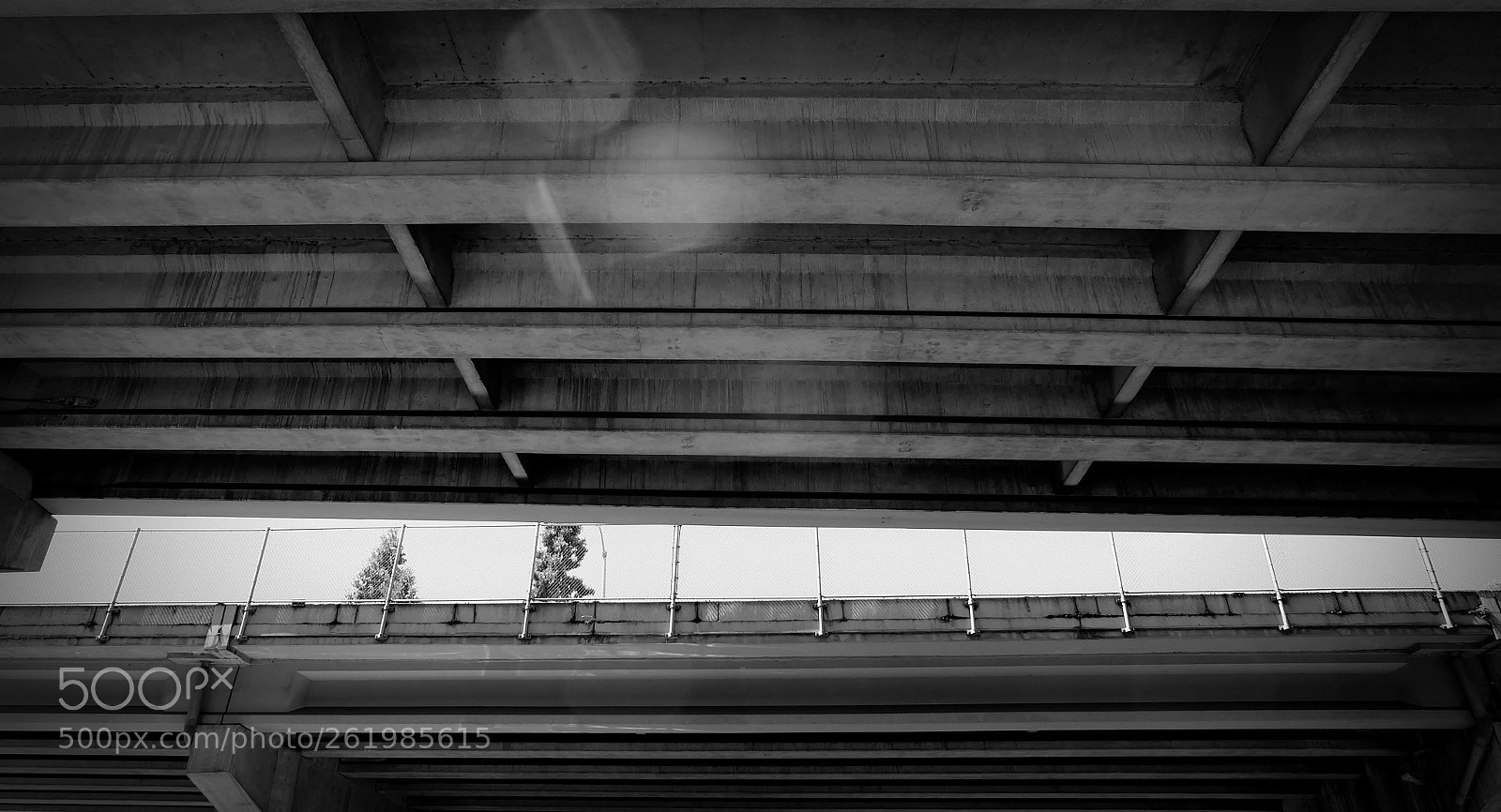 Fujifilm X-A1 sample photo. 2018-06-11 02.jpg photography