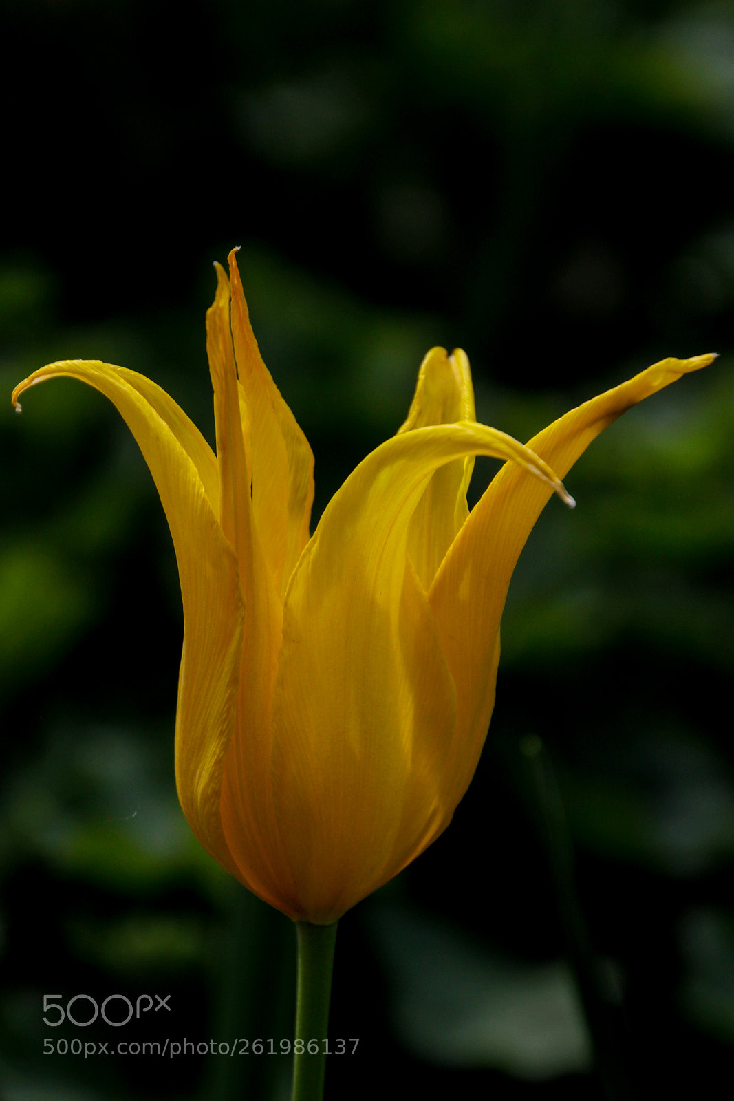 Canon EOS 7D sample photo. Lights and shadows photography