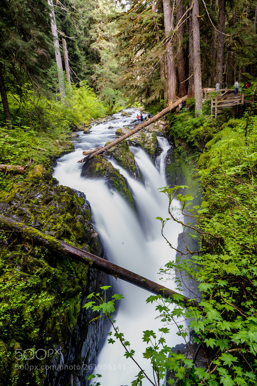 Sony a7 III sample photo. Sol duc falls photography