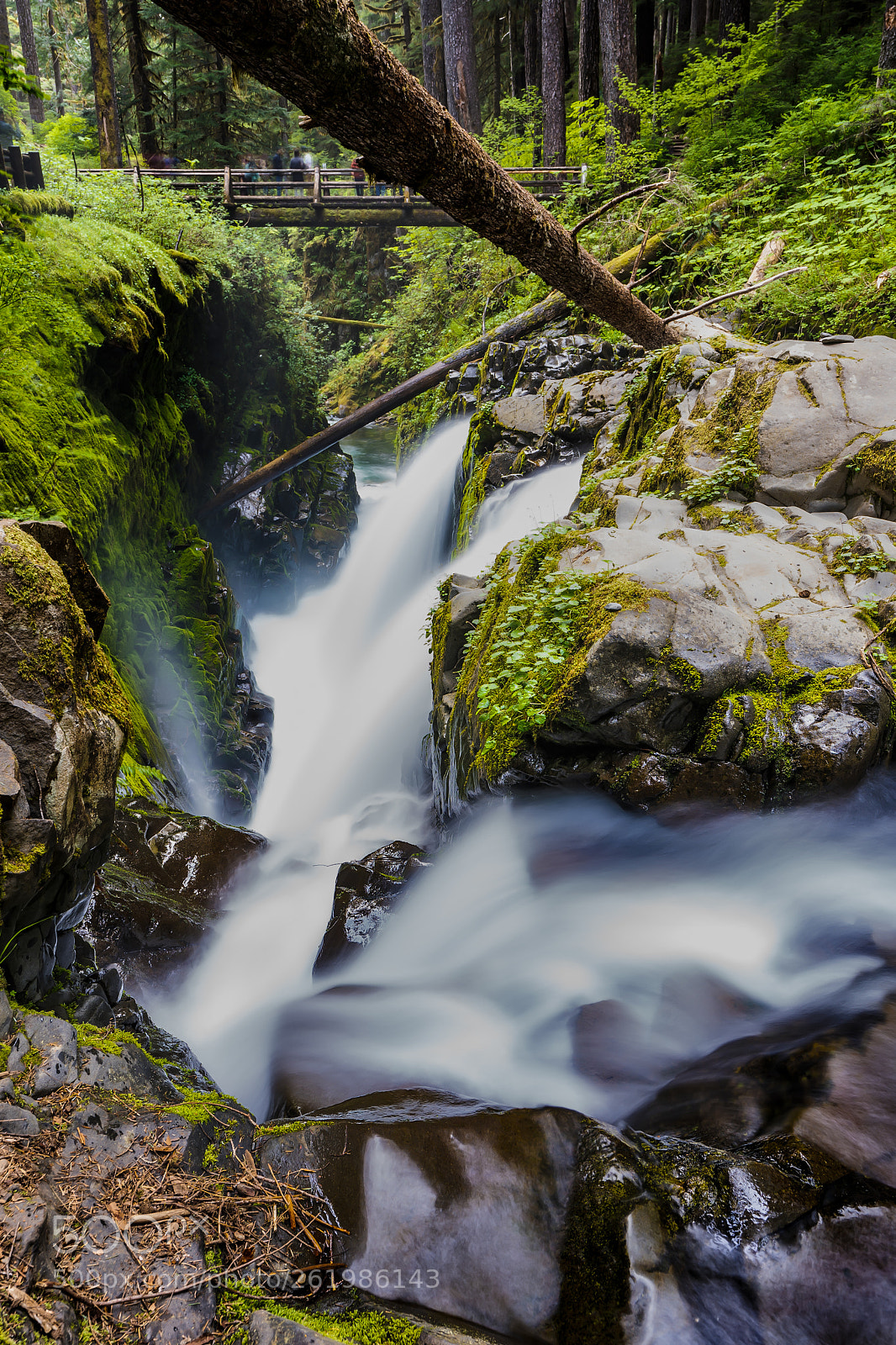 Sony a7 III sample photo. Sol duc falls photography