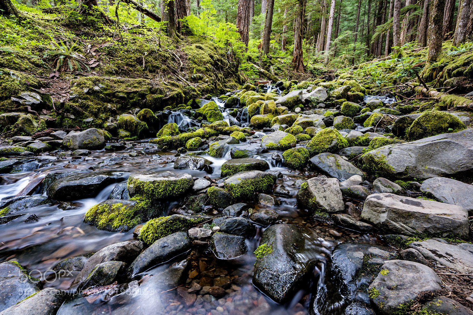 Sony a7 III sample photo. Sol duc falls photography
