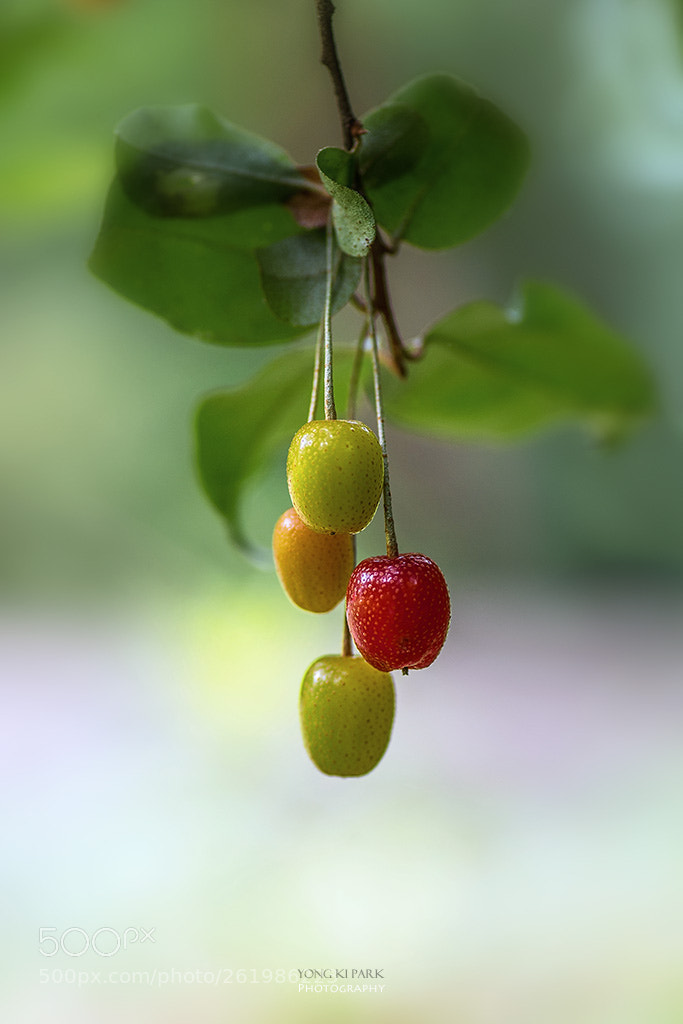 Pentax K-1 sample photo. In the road to photography
