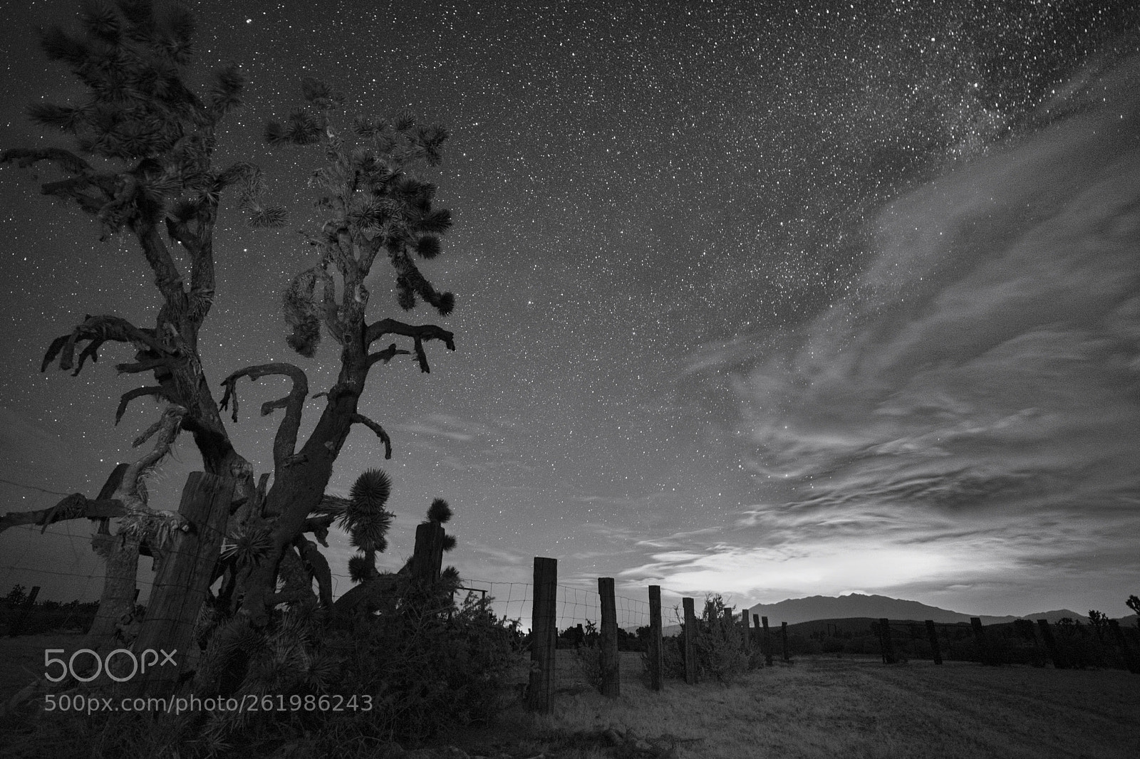 Nikon D800 sample photo. Fence line photography