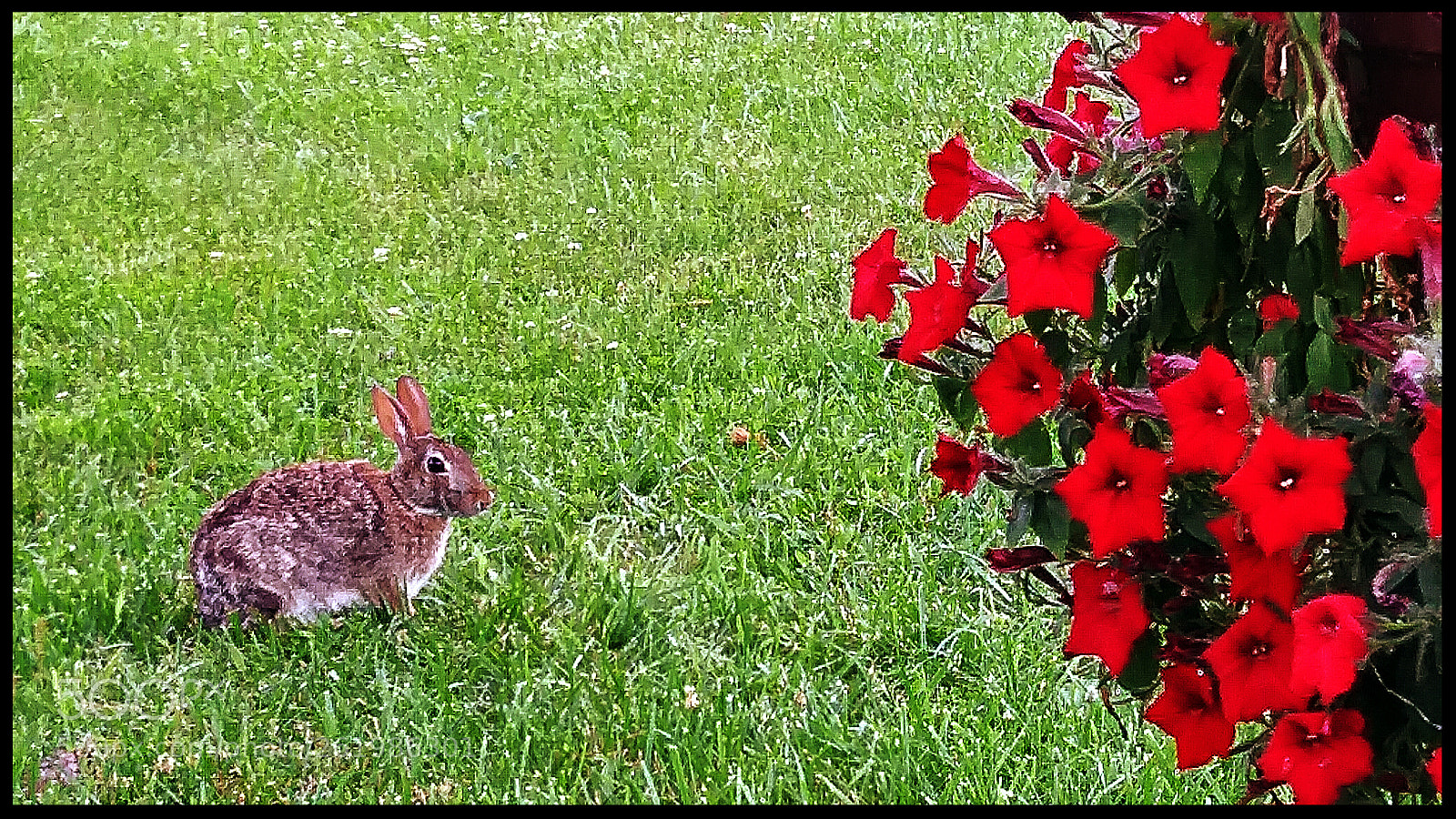 LG K20 V sample photo. Untitled photography