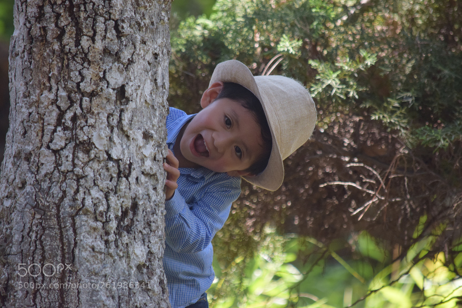 Nikon D5300 sample photo. Momentos photography