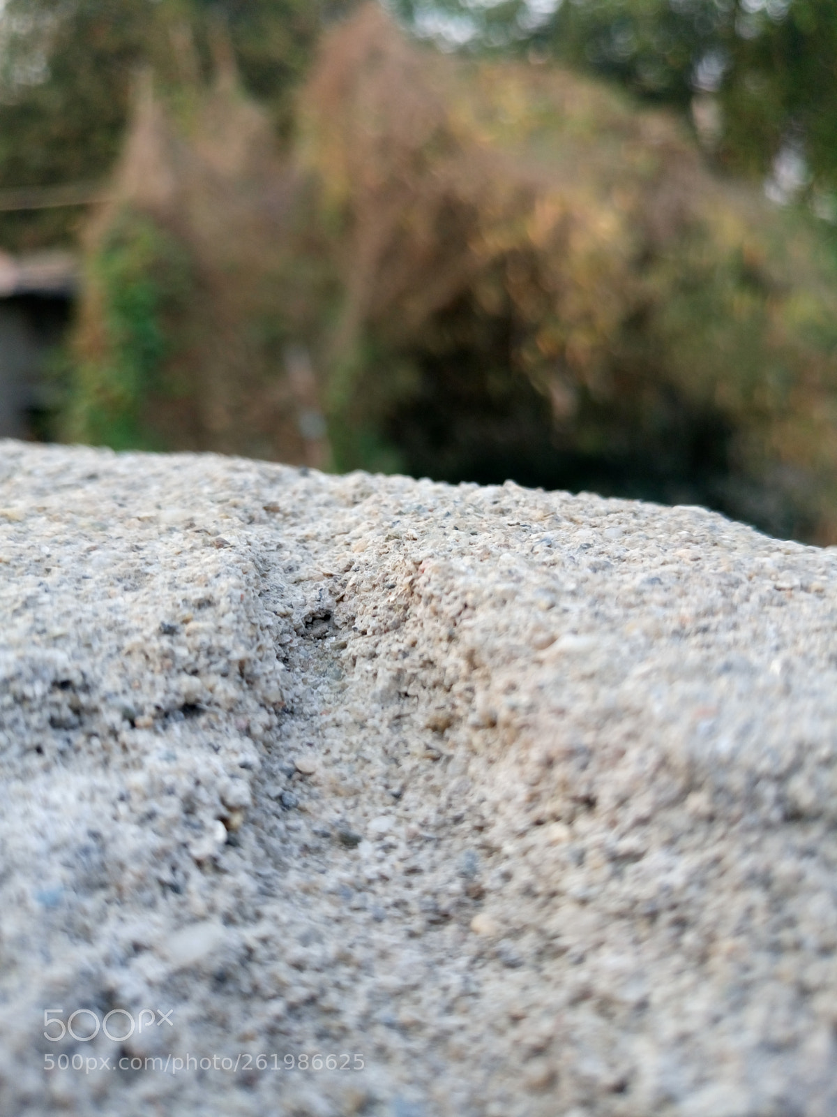 Sony Xperia M5 Dual sample photo. Nature wall photography