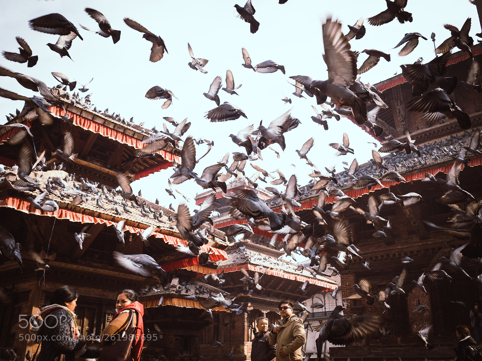 Olympus PEN-F sample photo. The sacred kathmandu photography