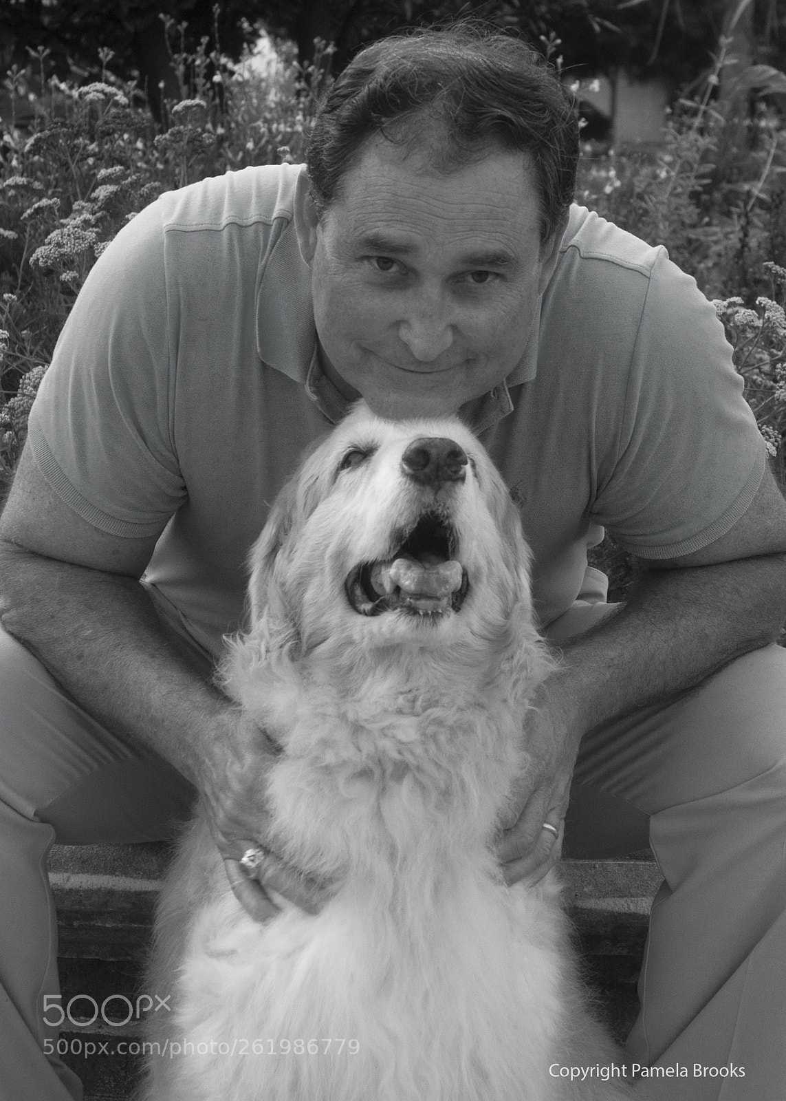 Nikon D90 sample photo. Puppy love photography