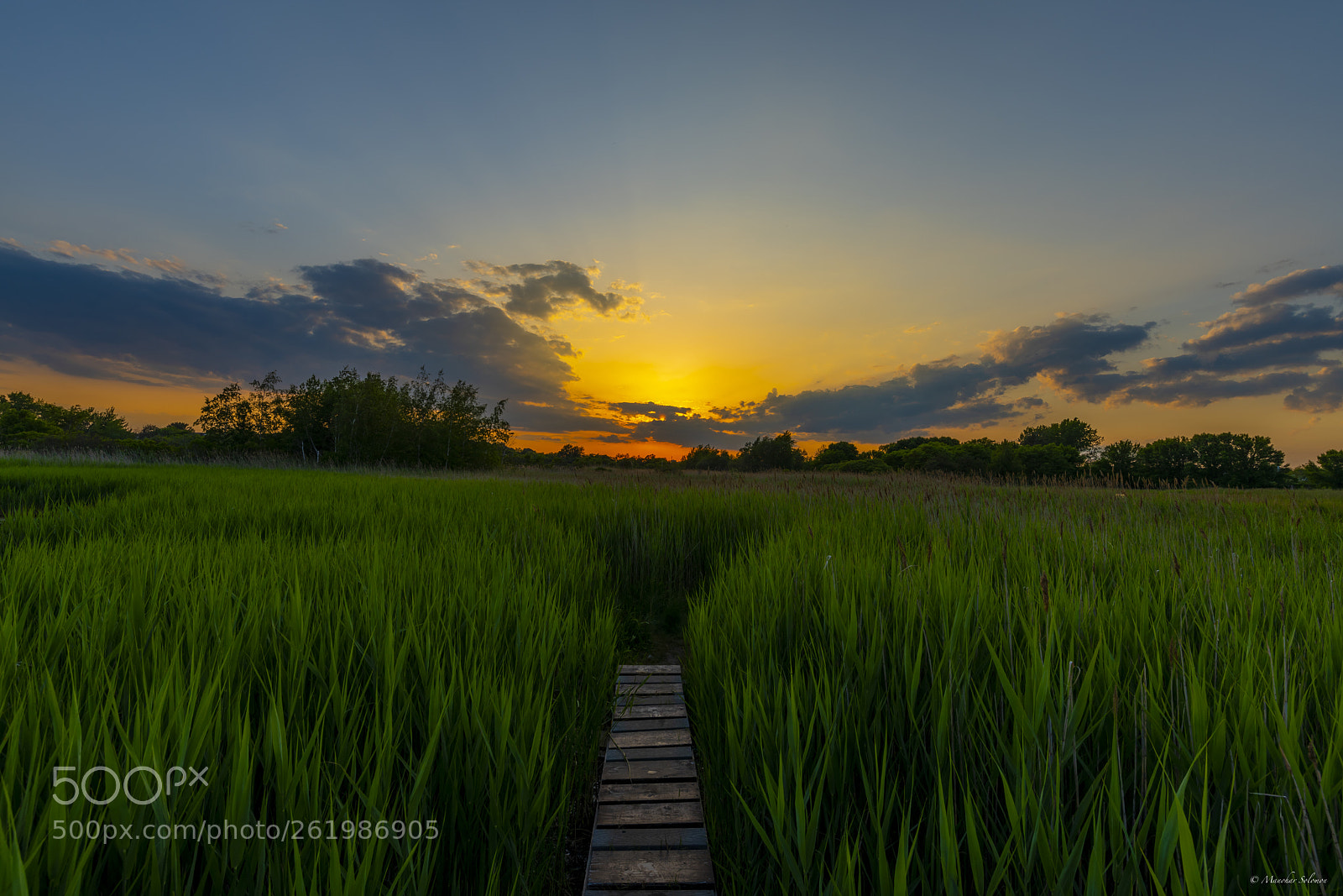 Nikon D810 sample photo. Sunset belle isle marsh photography