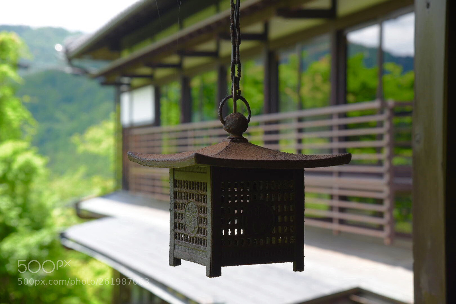 Nikon D750 sample photo. Untitled photography