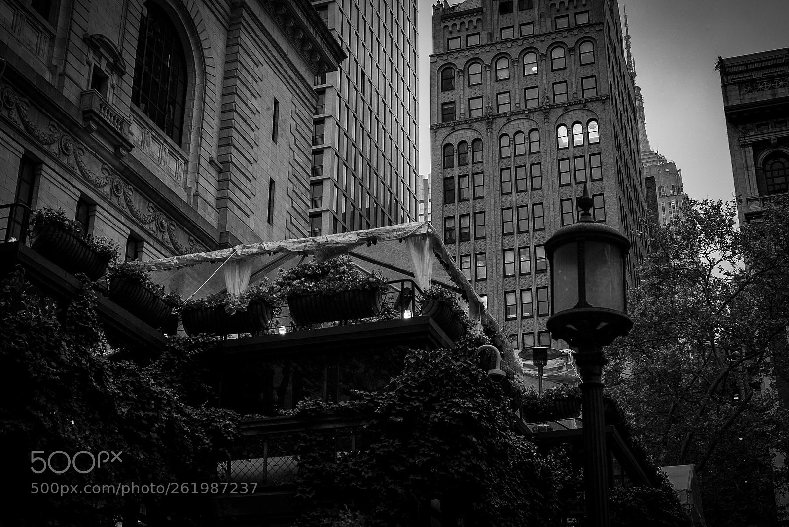 Sony a7S II sample photo. Nyc print photography