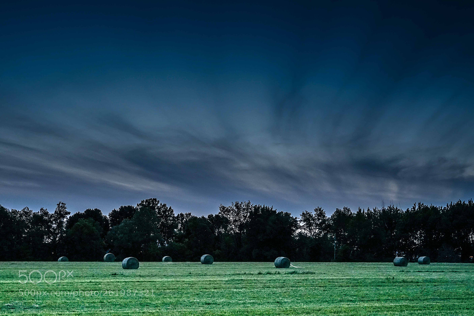 Sony a7 II sample photo. Pastorale photography