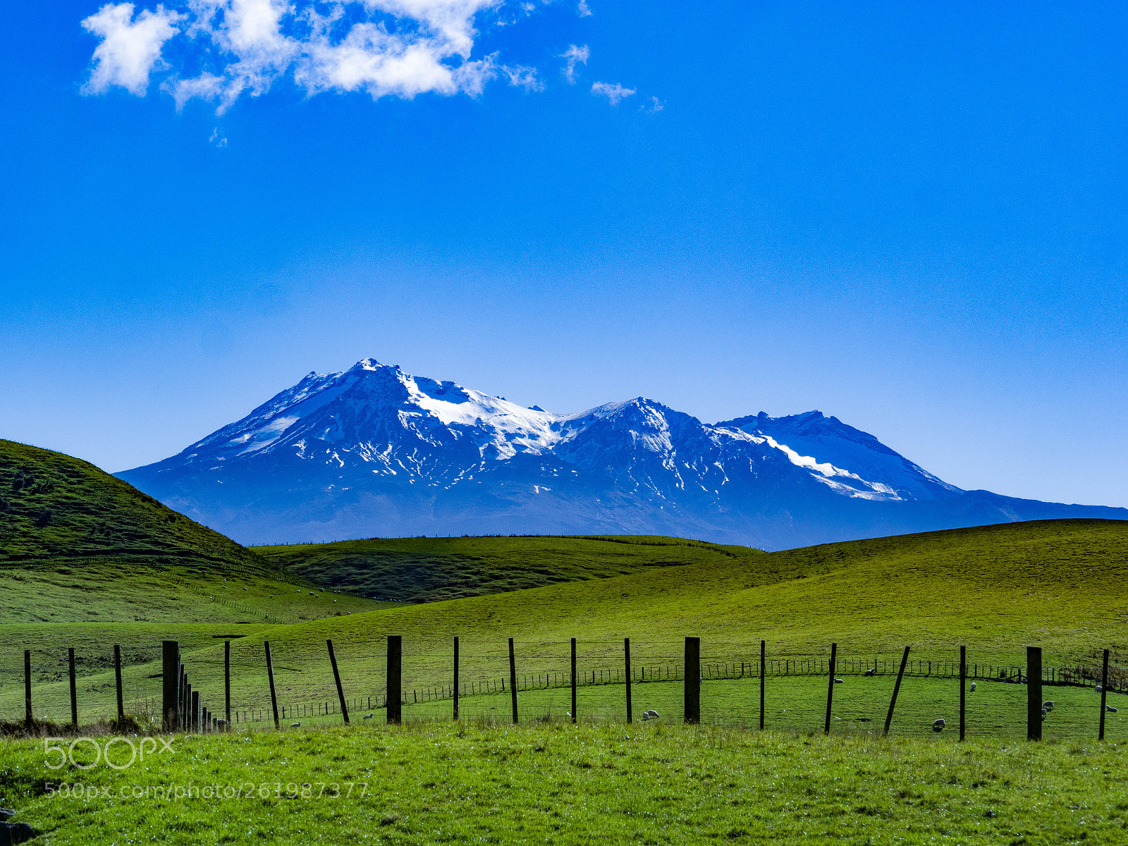 Olympus OM-D E-M10 II sample photo. Sunny ruapehu day photography