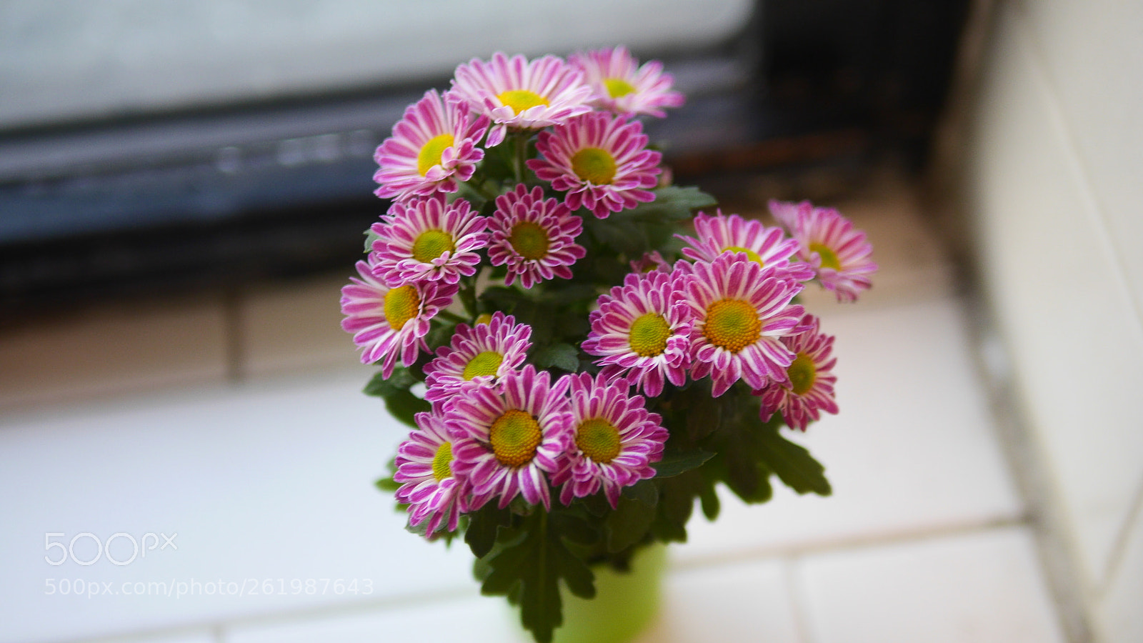 Panasonic Lumix DMC-GH3 sample photo. Lovely 3 photography