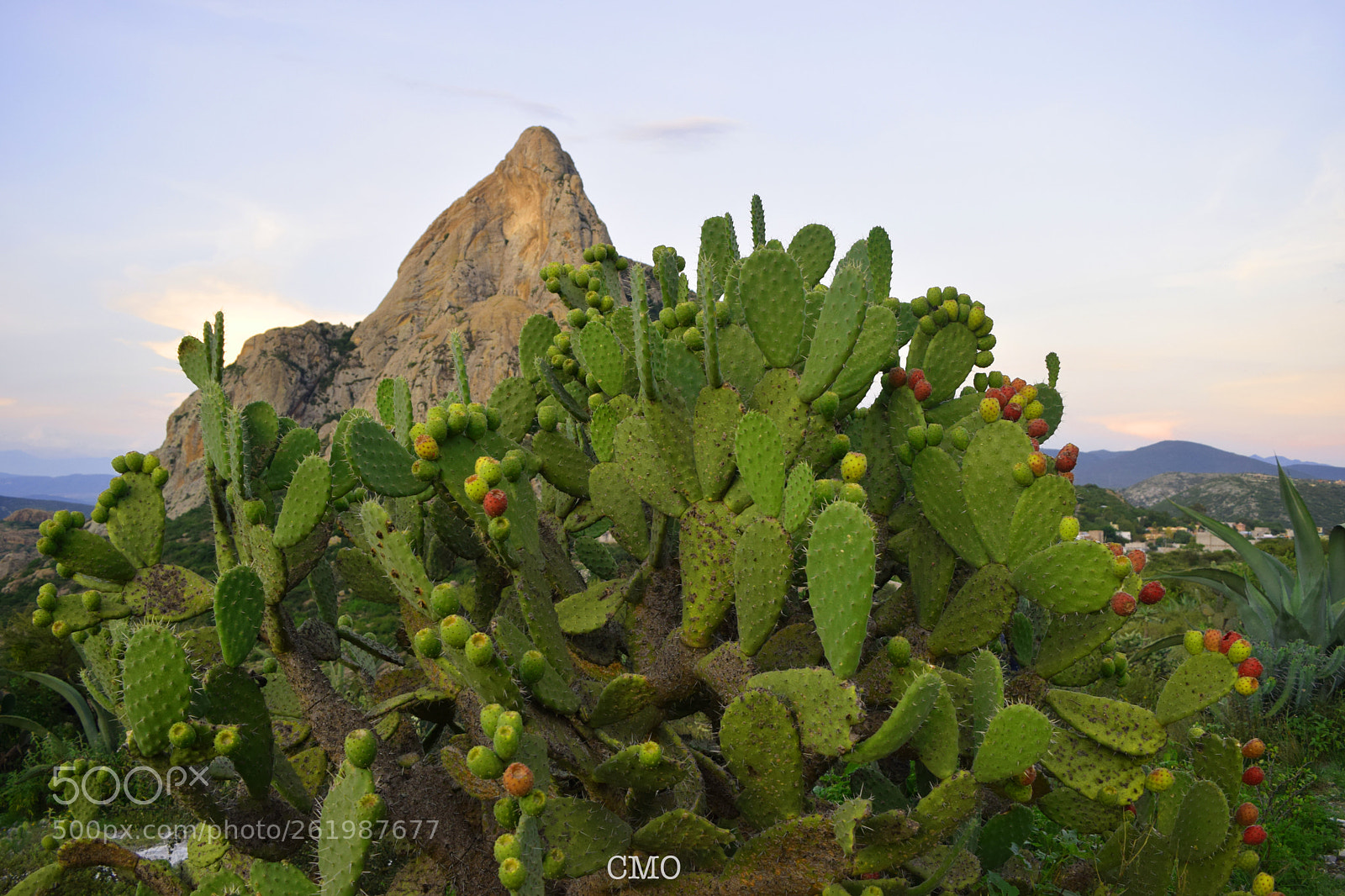 Nikon D5300 sample photo. Peña de bernal photography