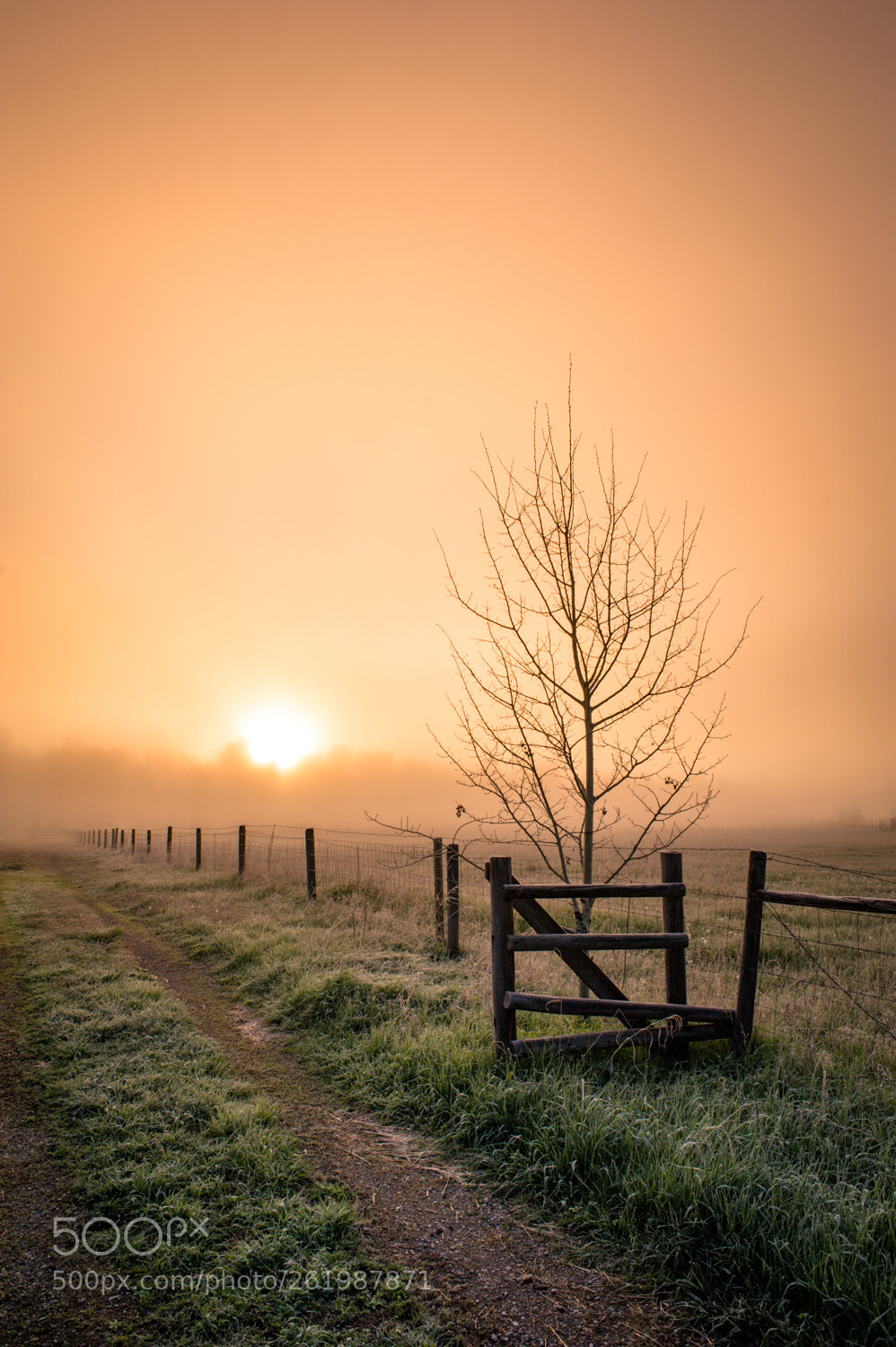 Nikon D700 sample photo. Sunrise by the river photography