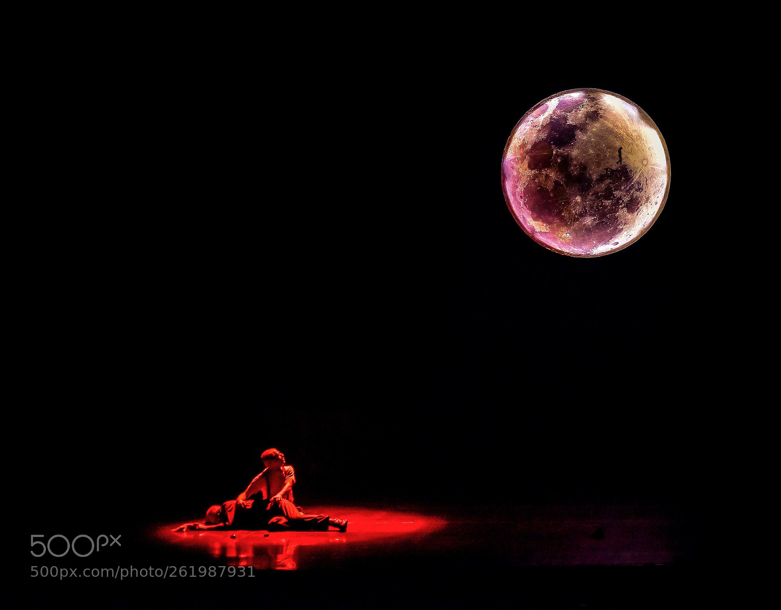 Nikon D810 sample photo. Moon says.... photography