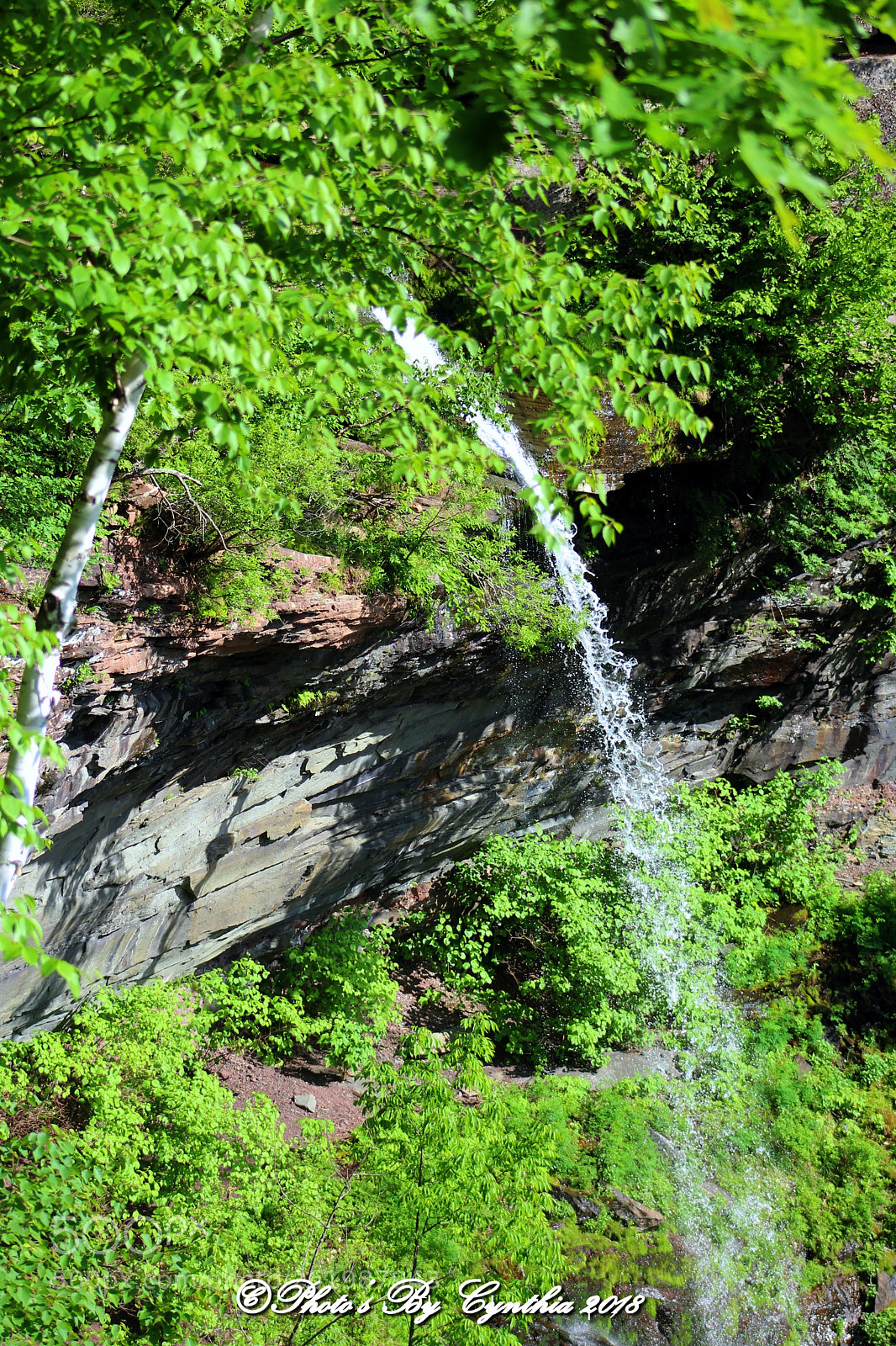 Canon EOS 1300D (EOS Rebel T6 / EOS Kiss X80) sample photo. Kaaterskill falls (1) photography