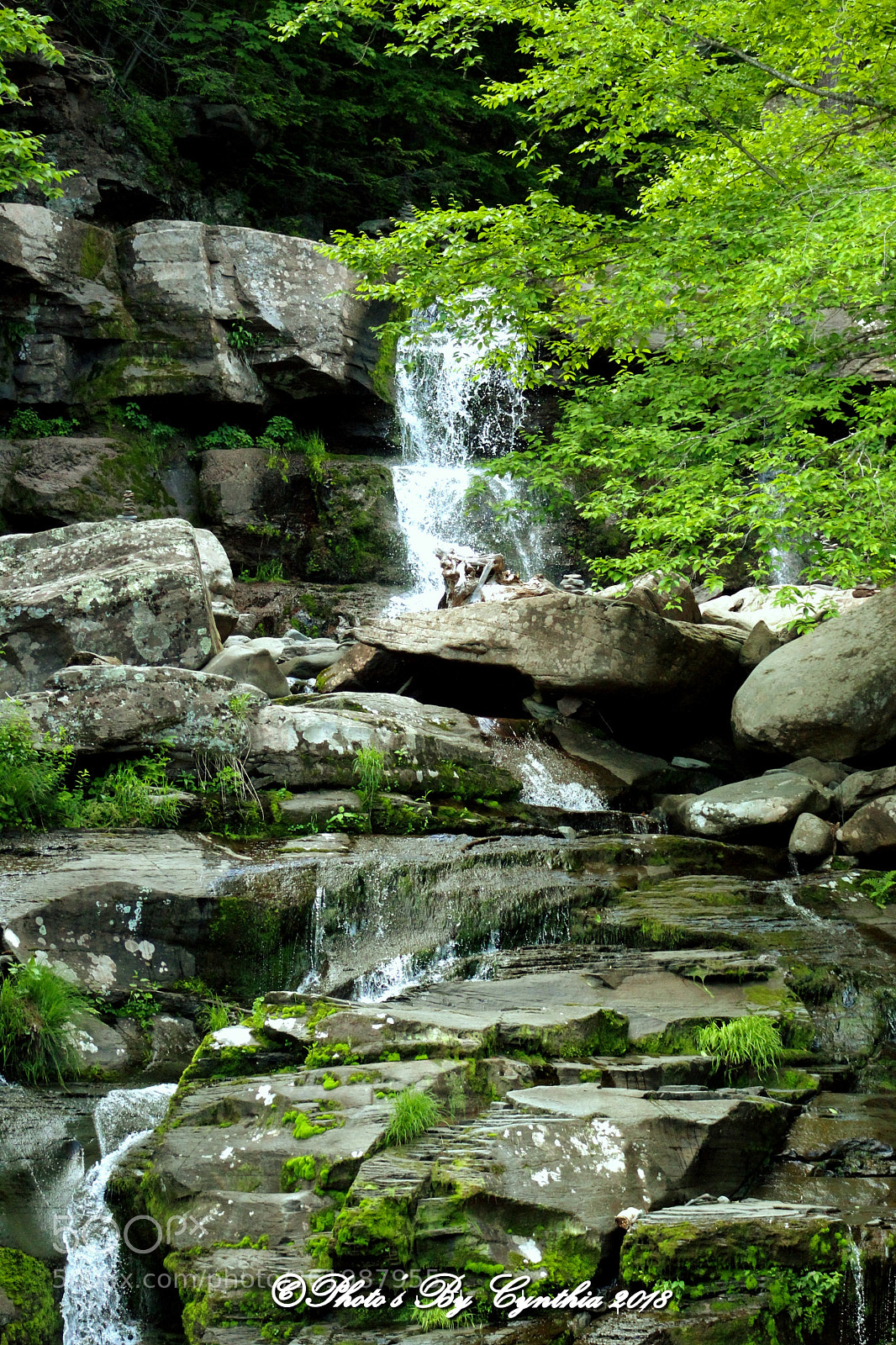 Canon EOS 1300D (EOS Rebel T6 / EOS Kiss X80) sample photo. Kaaterskill falls scenic byway (1) photography