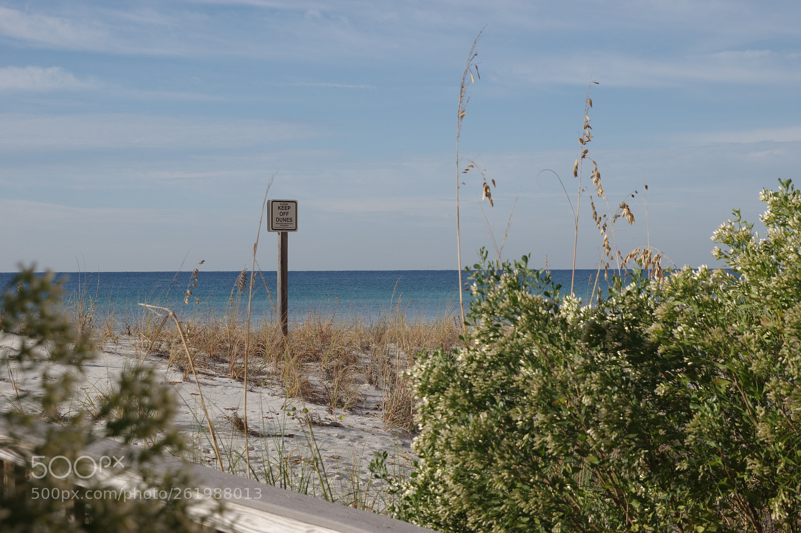 Pentax K-3 sample photo. Keep off photography