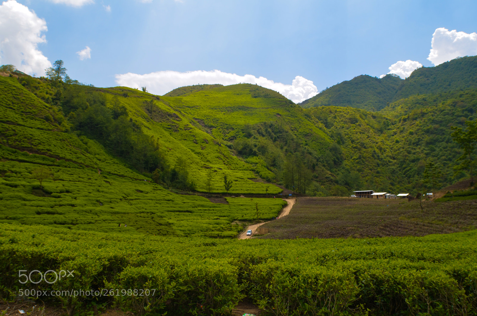 Nikon D5100 sample photo. Sano illam photography