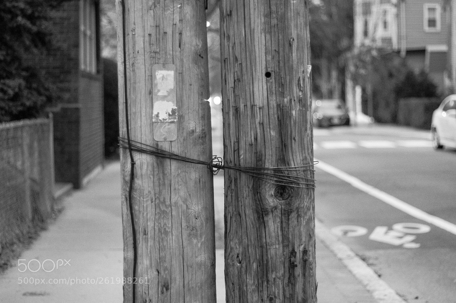 Canon EOS 750D (EOS Rebel T6i / EOS Kiss X8i) sample photo. Pollstogether photography