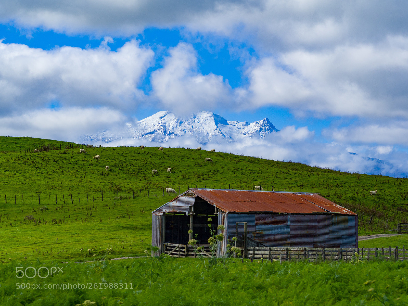 Olympus OM-D E-M10 II sample photo. My ruapehu behind barn photography