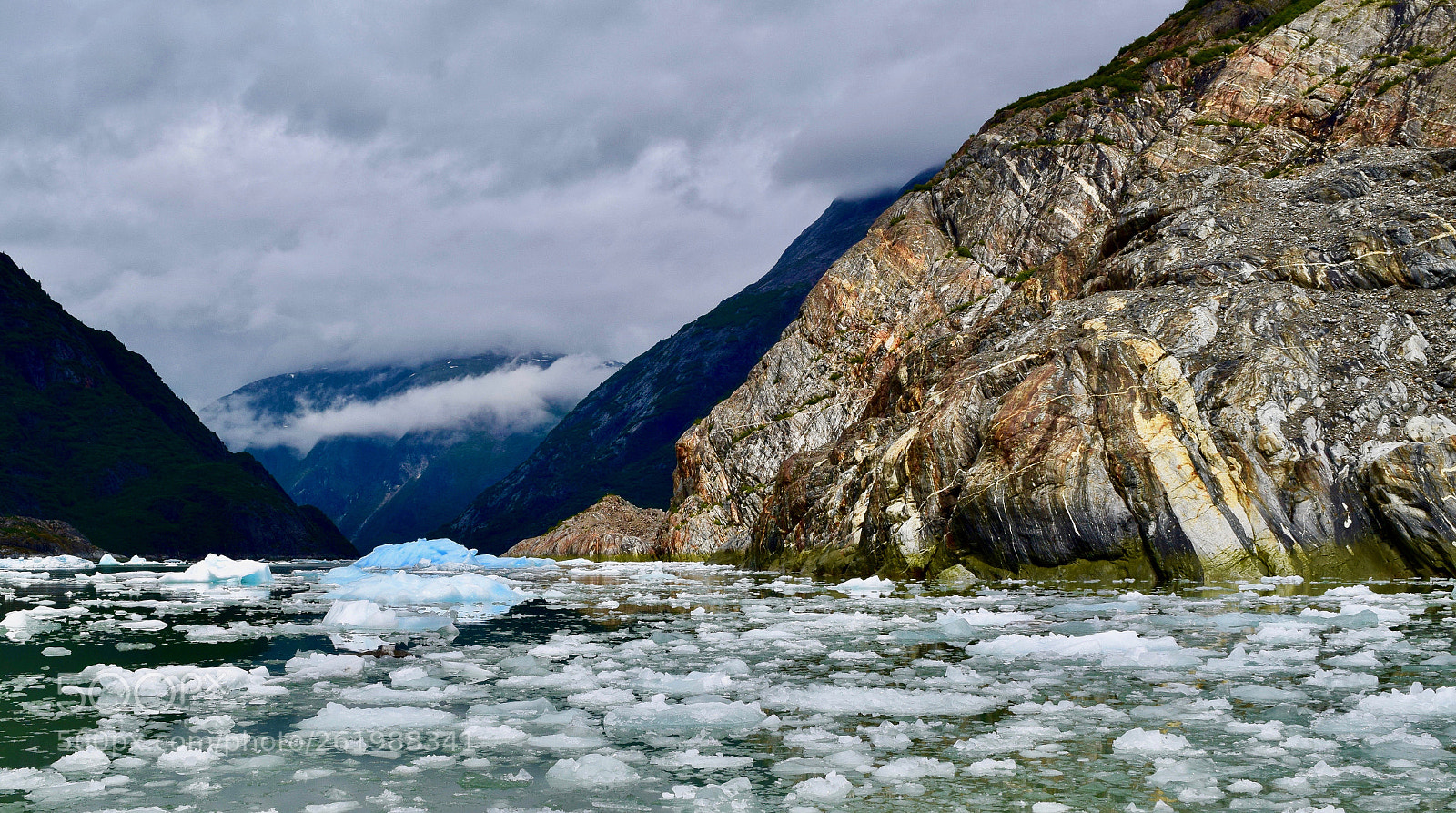 Nikon D5300 sample photo. Slushy fjord photography