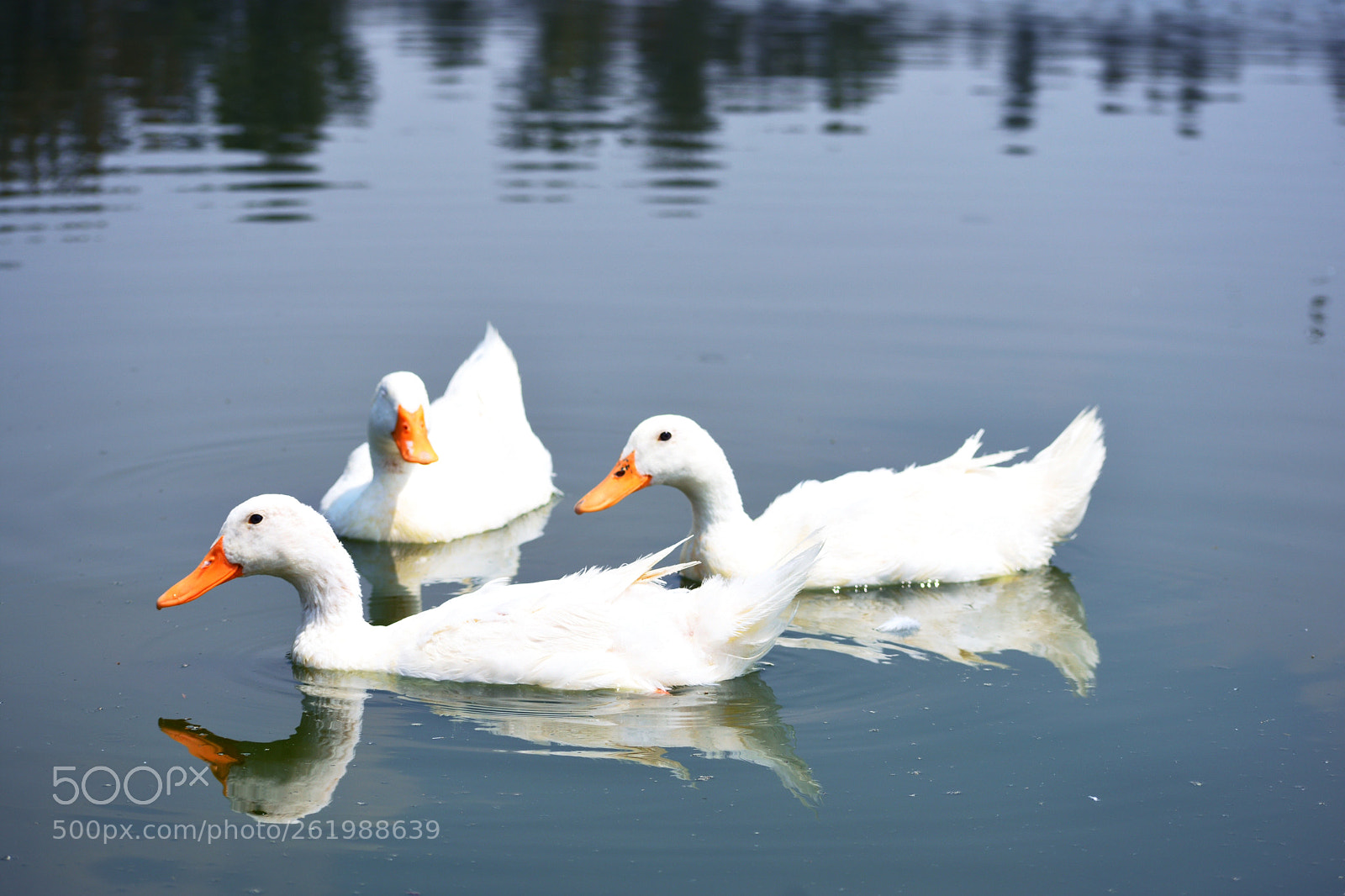 Nikon D3400 sample photo. Untitled photography