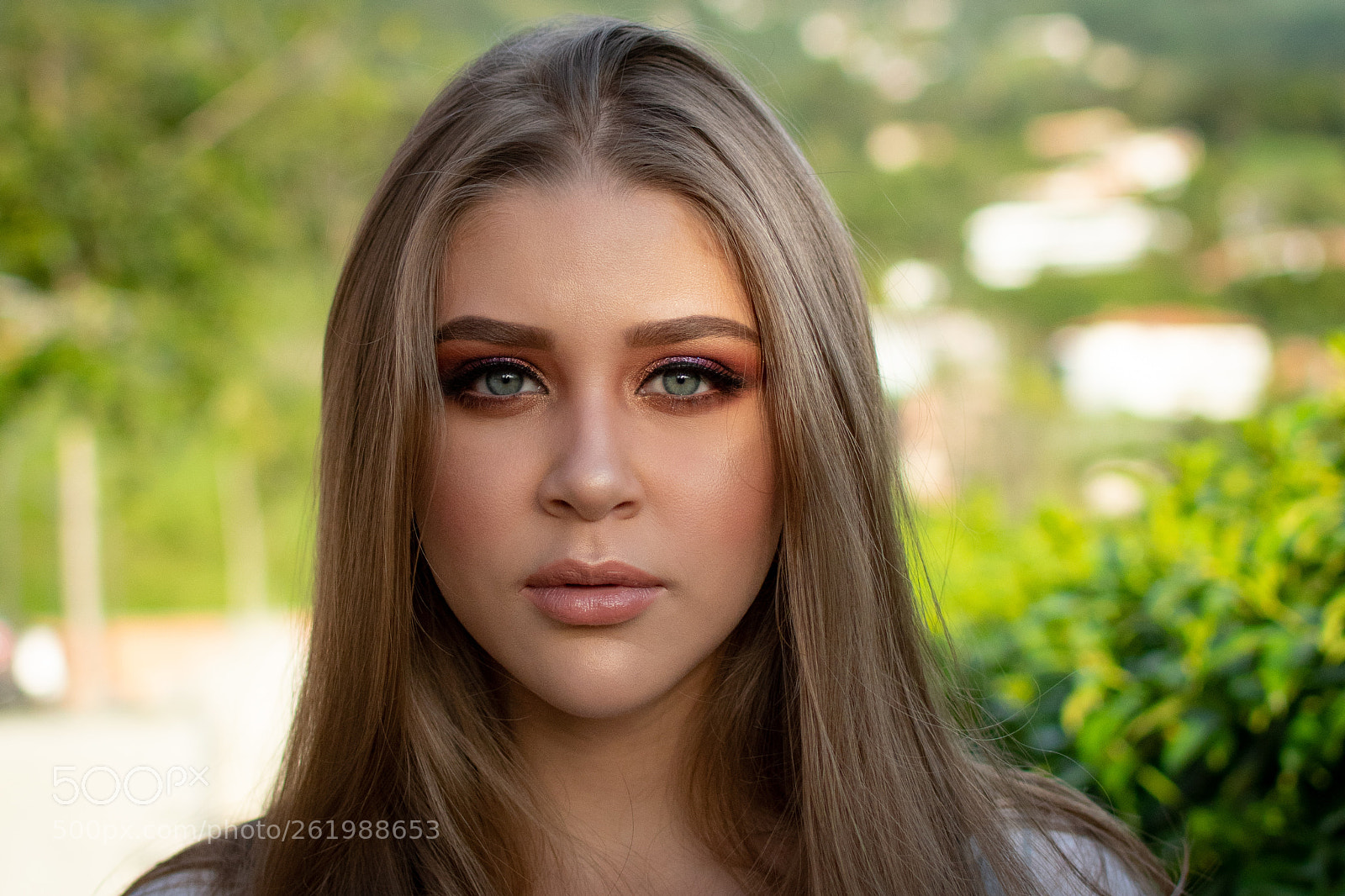 Nikon D5600 sample photo. Perfection photography