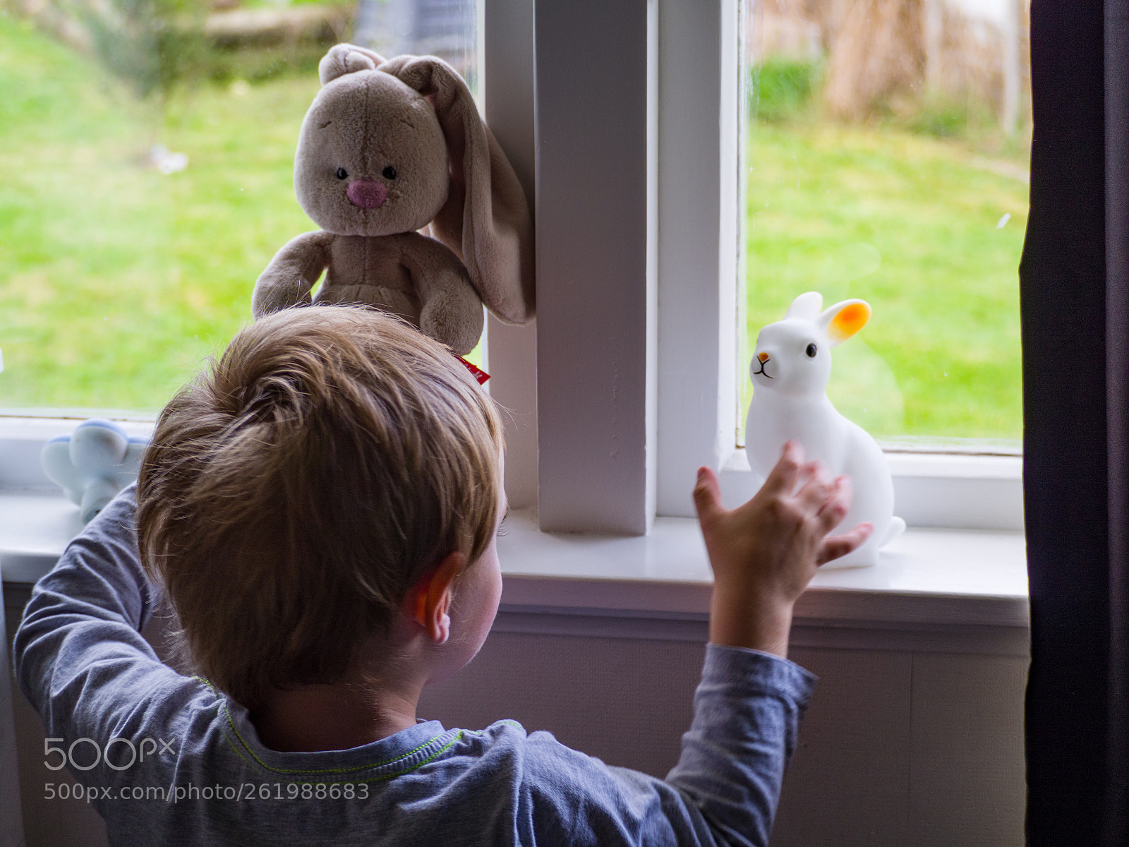 Olympus OM-D E-M10 II sample photo. Son rabbit photography