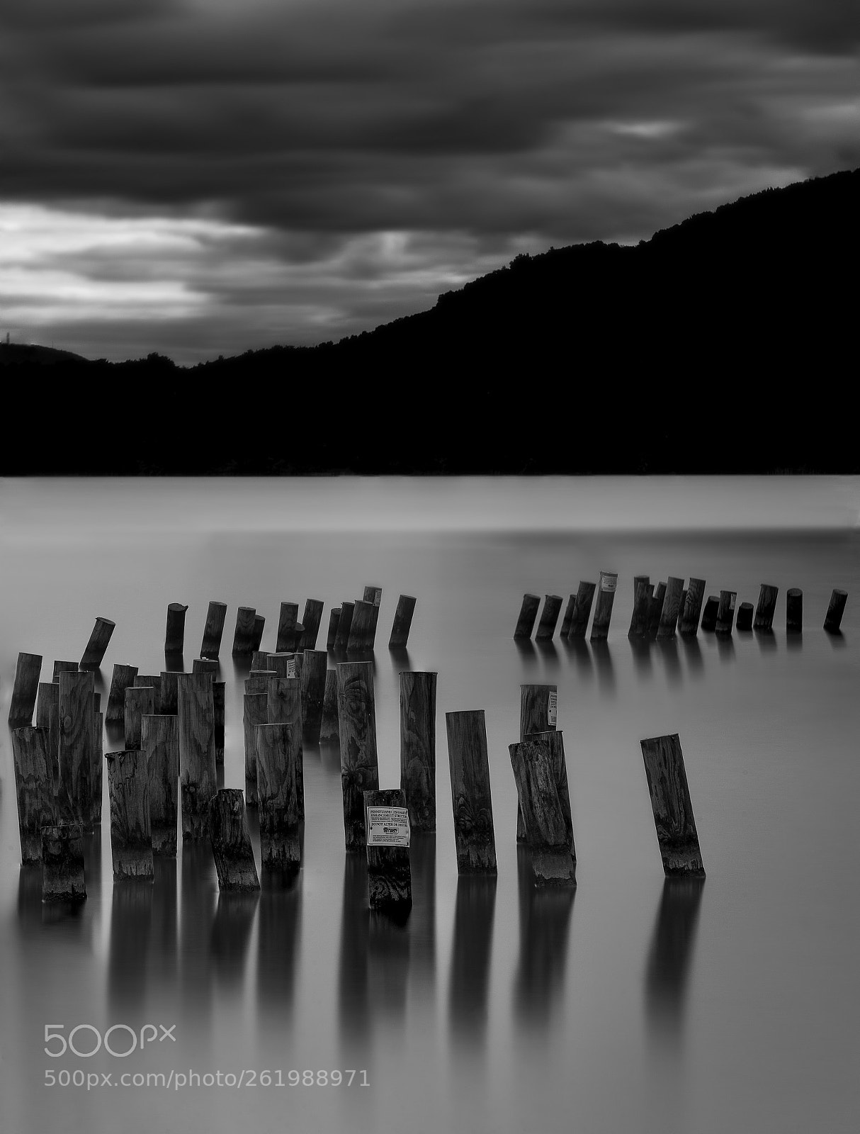Nikon D610 sample photo. Standing still photography