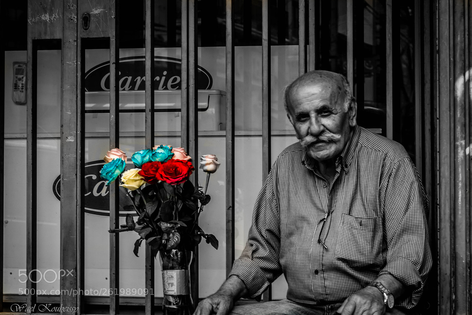 Nikon D5500 sample photo. Buy my roses! photography