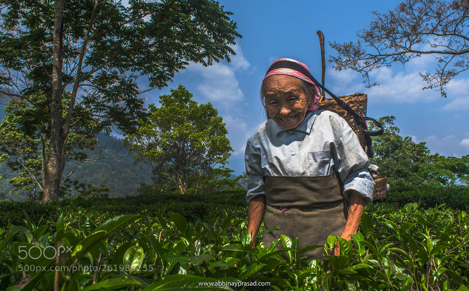 Nikon D7000 sample photo. Tea worker.jpg photography