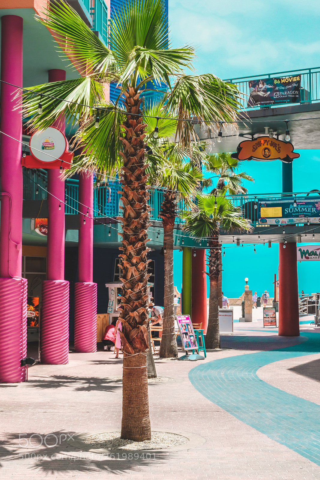 Fujifilm X-T20 sample photo. Colorful palm tree photography
