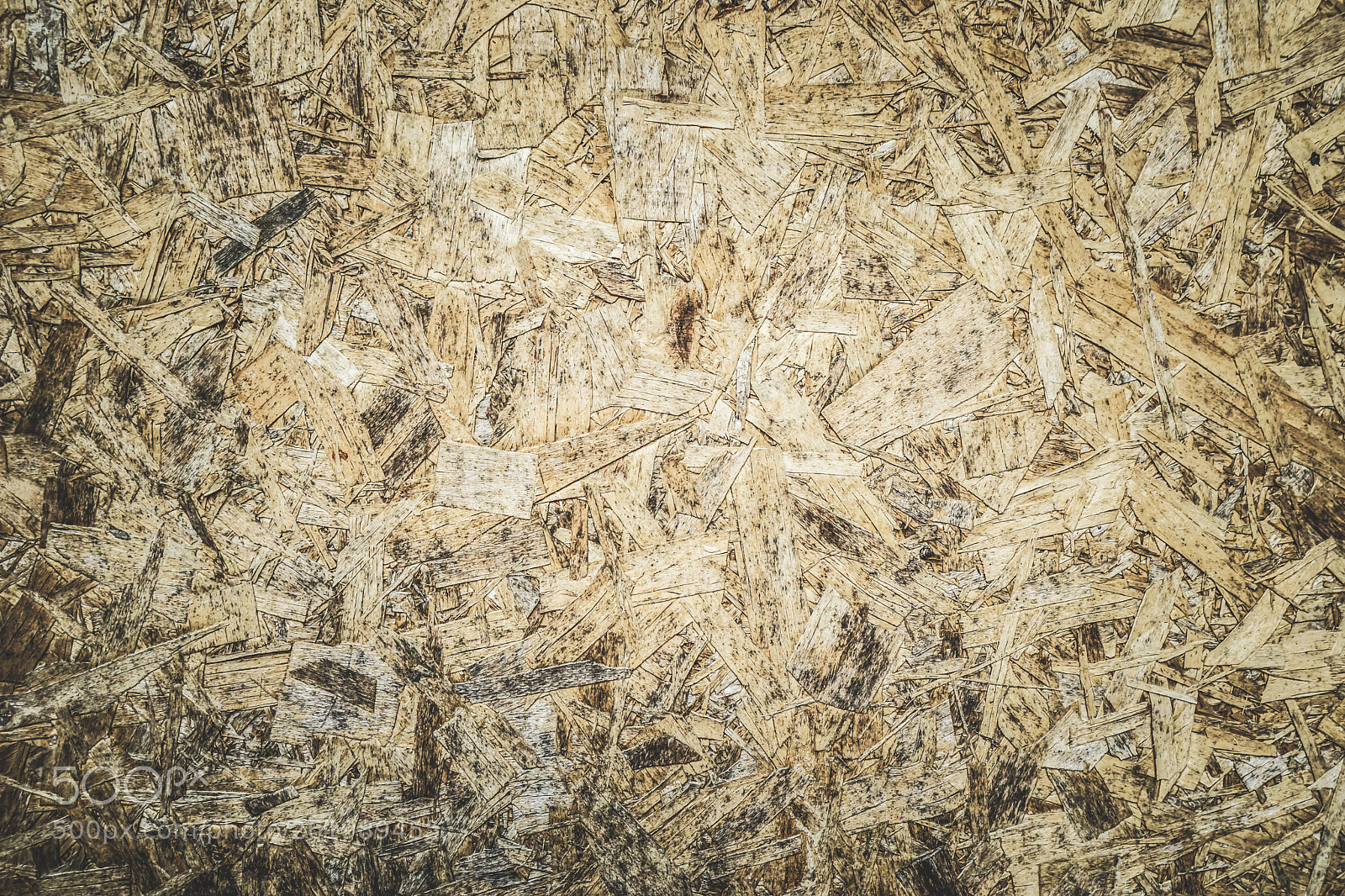 Sony a7 II sample photo. Beauty of wood photography