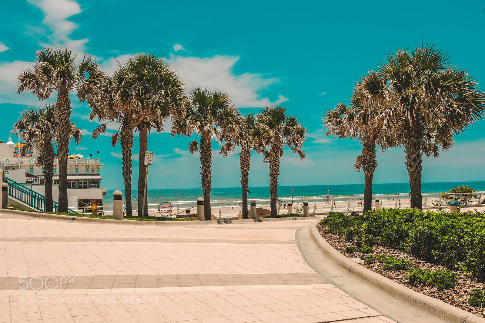 Fujifilm X-T20 sample photo. Palm trees on waterfront photography