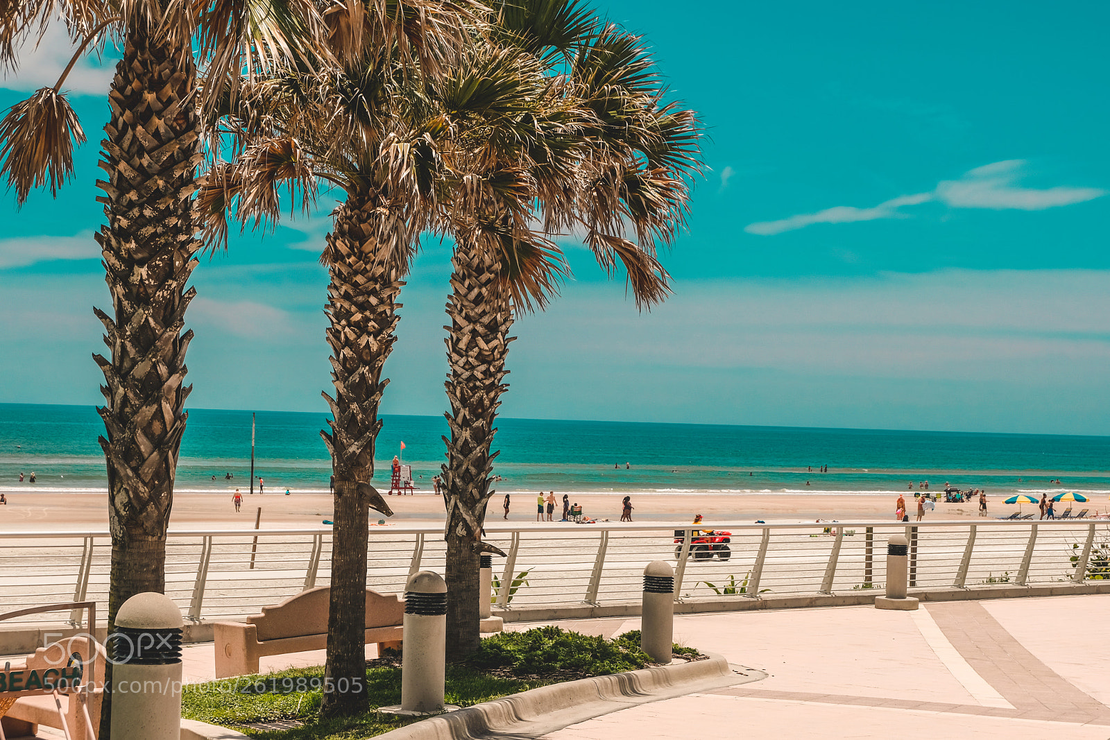 Fujifilm X-T20 sample photo. Three palm trees photography