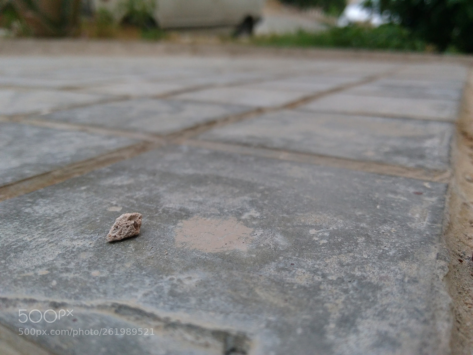 Motorola Moto G4 Play sample photo. Img_20180613_054056425.jpg photography