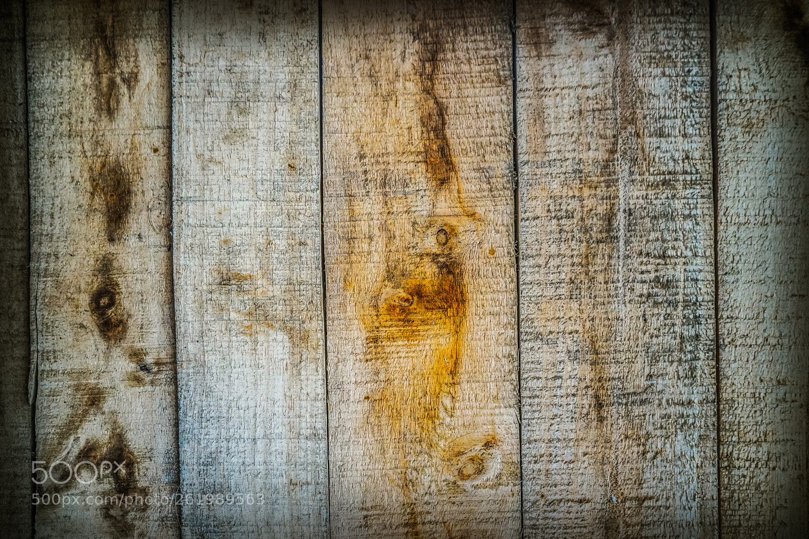 Sony a7 II sample photo. Beauty of wood 3 photography