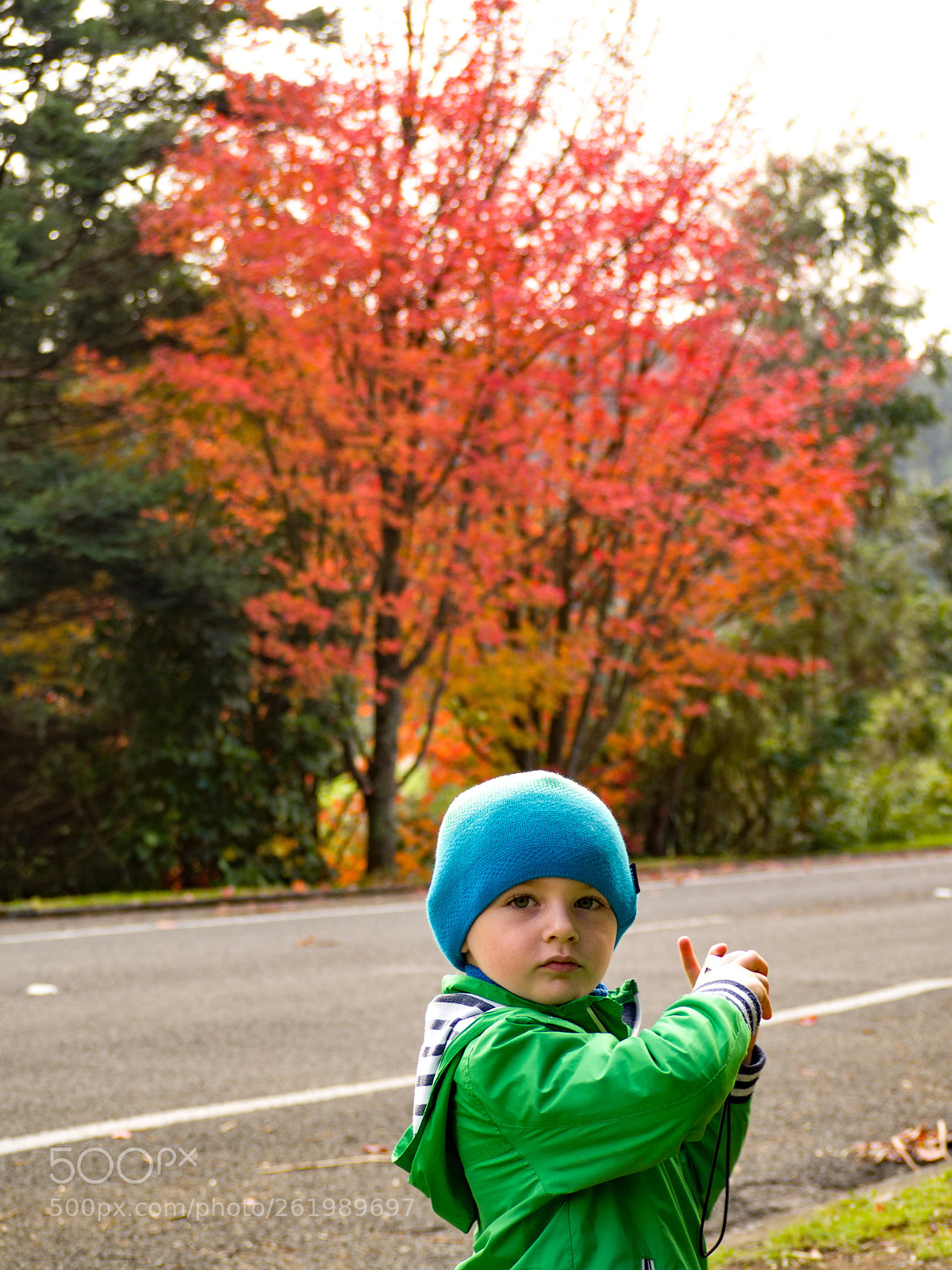 Olympus OM-D E-M10 II sample photo. Son loves autumn photography