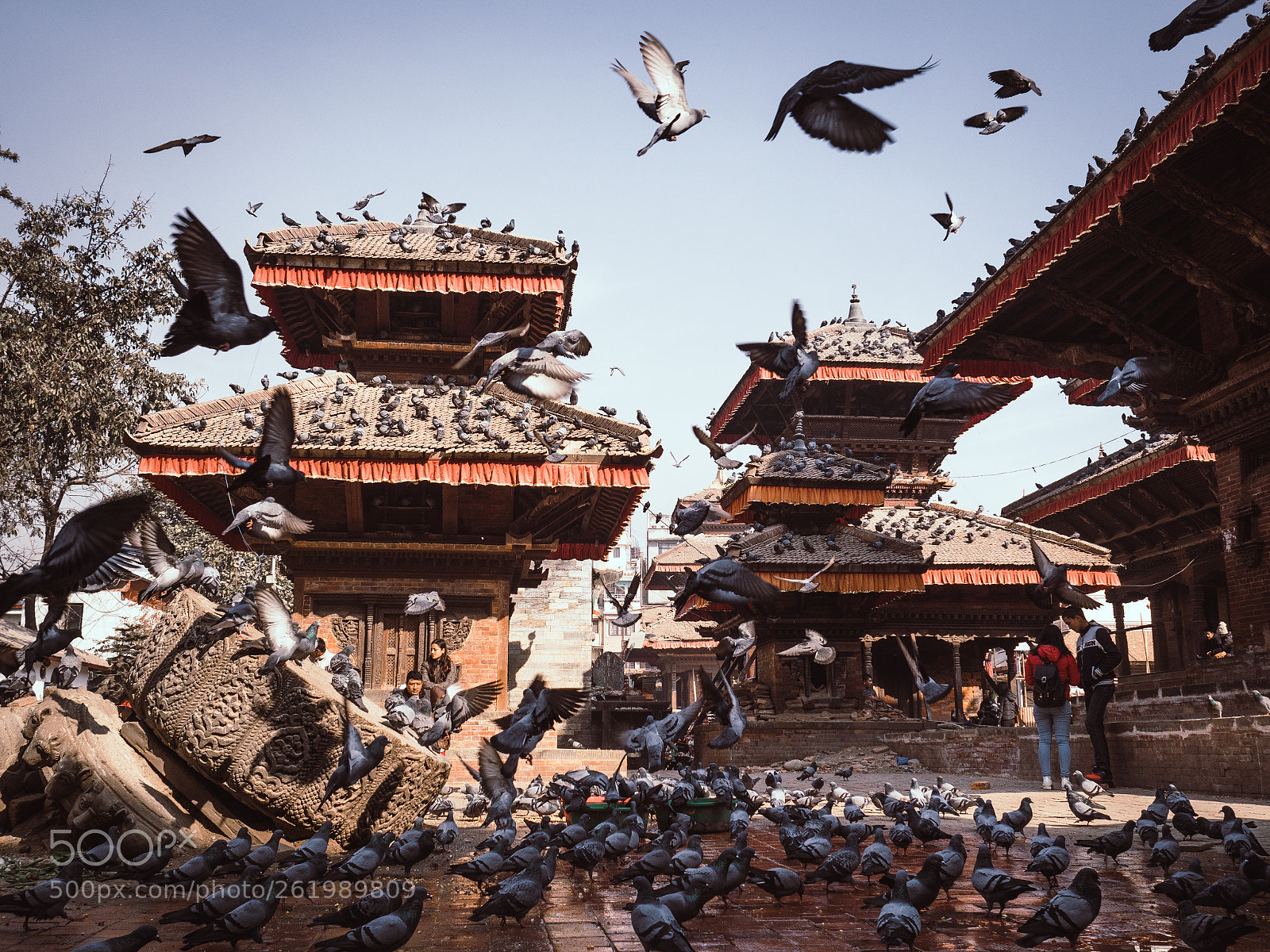 Olympus PEN-F sample photo. The sacred kathmandu photography