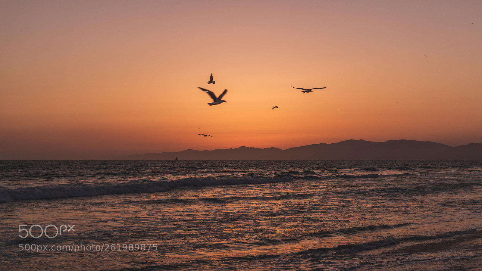 Sony a6000 sample photo. California sunset photography