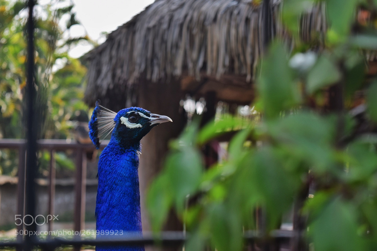 Nikon D3300 sample photo. Untitled photography