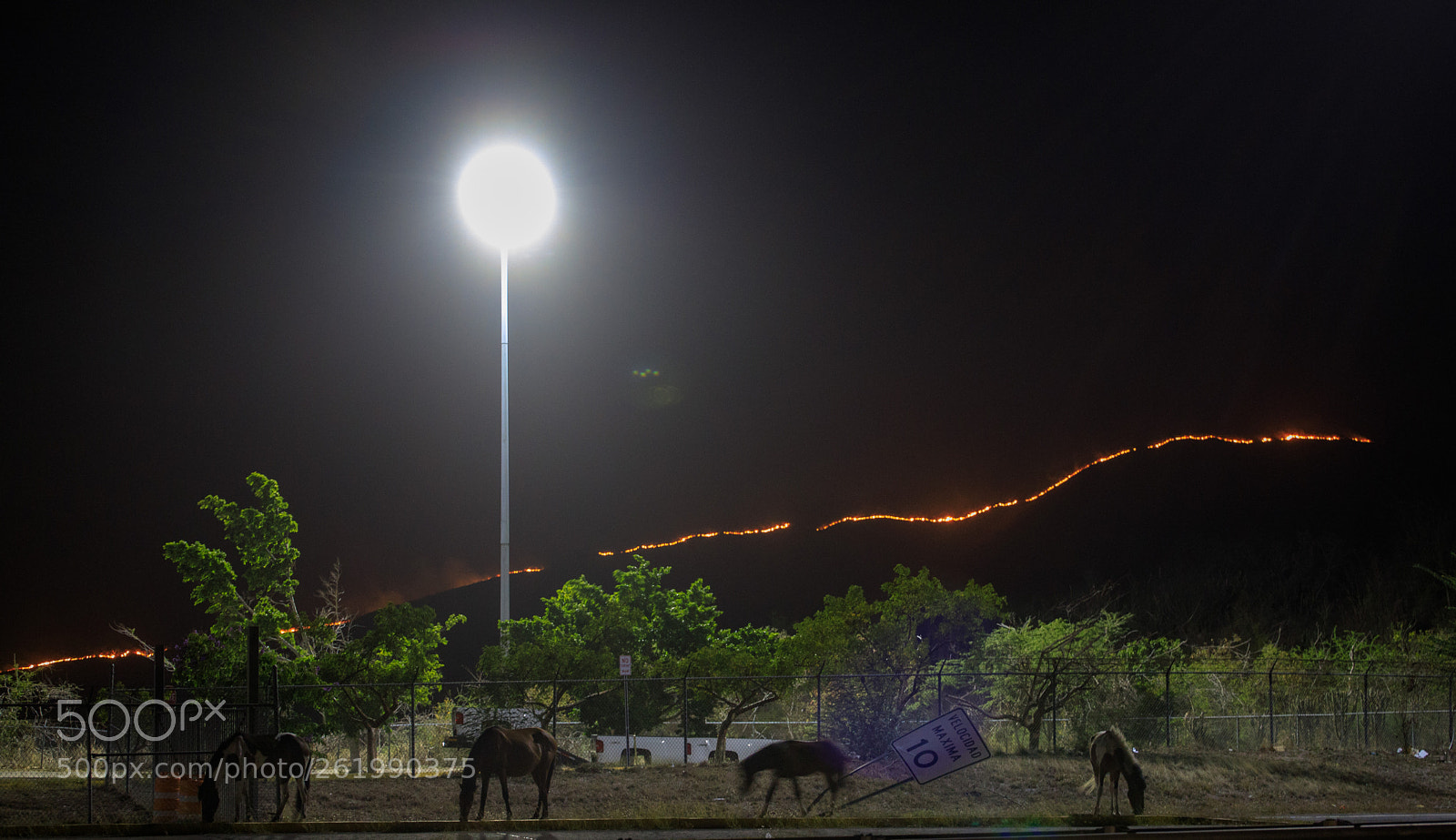 Canon EOS 6D Mark II sample photo. Wildfire photography