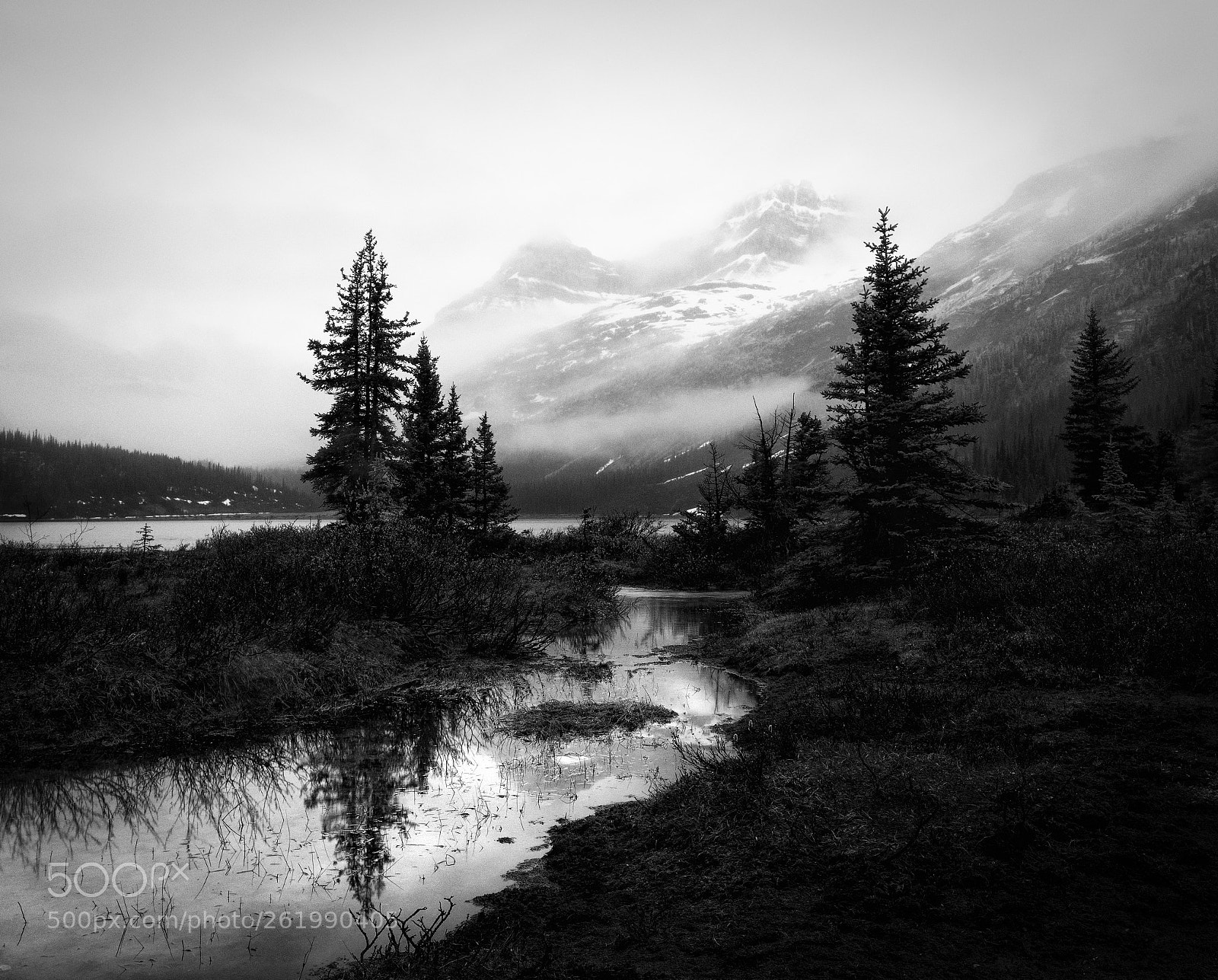 Canon EOS 5D Mark IV sample photo. Morning mist photography