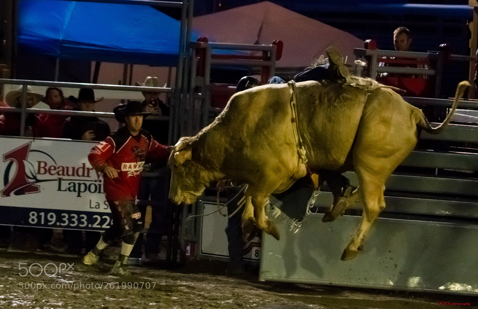 Nikon D7200 sample photo. Rodeó!! photography