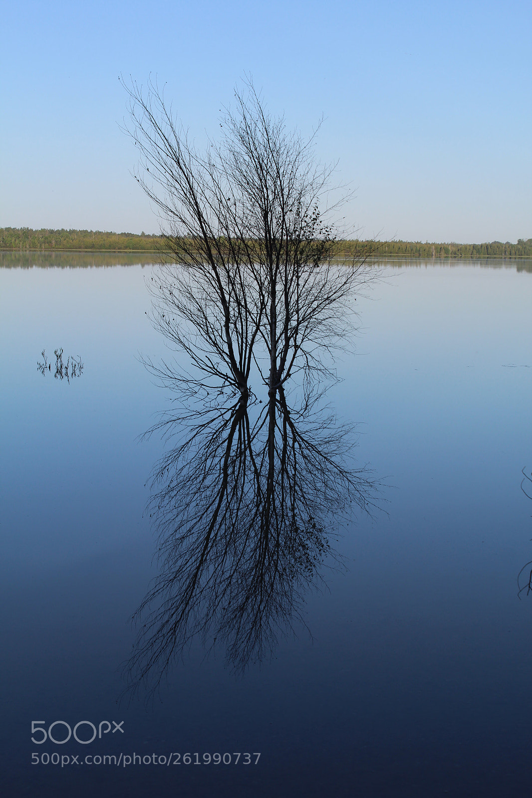 Canon EOS 600D (Rebel EOS T3i / EOS Kiss X5) sample photo. Reflect on this photography
