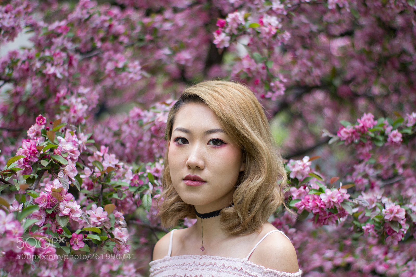 Canon EOS 60D sample photo. Spring blossom with rosalie photography