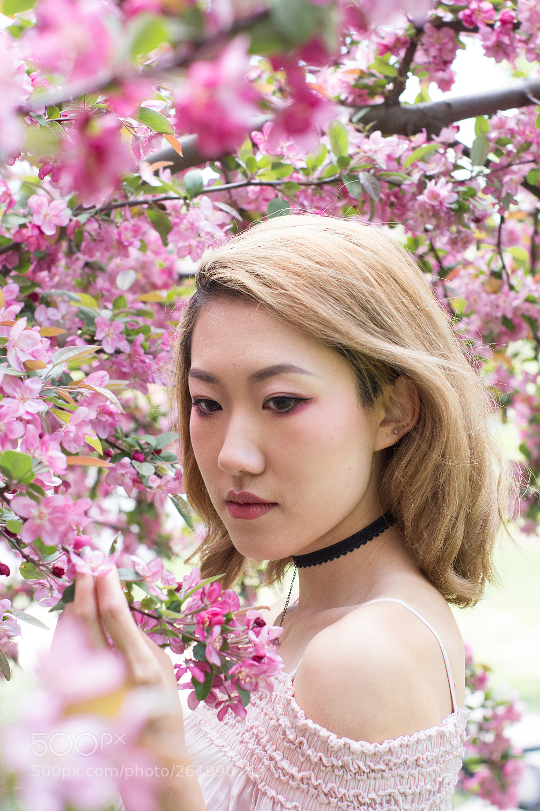 Canon EOS 60D sample photo. Spring blossom with rosalie photography